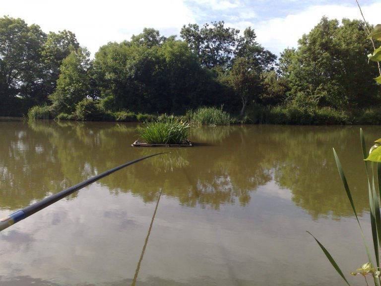 Moulton Lane Ponds